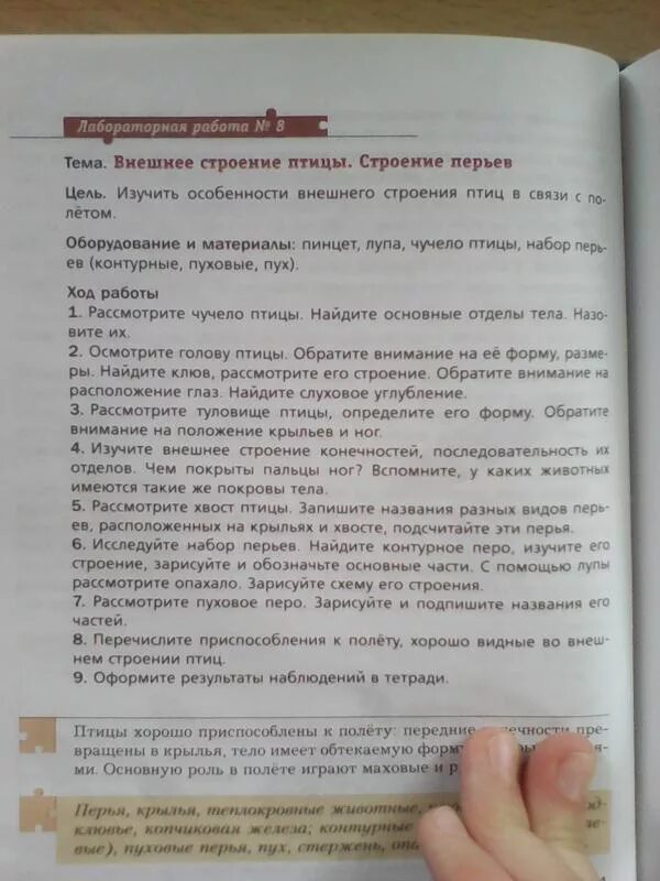 Лабораторная работа номер 6 внешнее строение птиц. Внешнее строение птиц лабораторная. Птица для лабораторной работы. Лабораторная работа по биологии птица. Лабораторная работа по птицам.