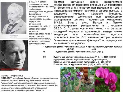 Имена генетиков