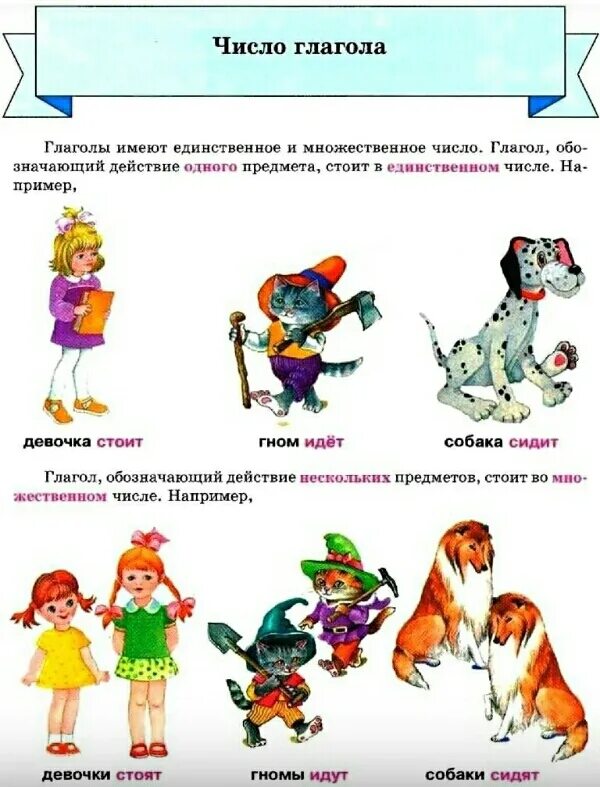 Глагол в единственном числе обозначает
