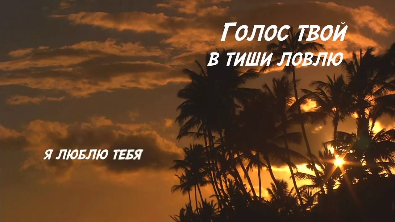 Твои голосовые. Твой голос красиво. Лучшая музыка твой голос.