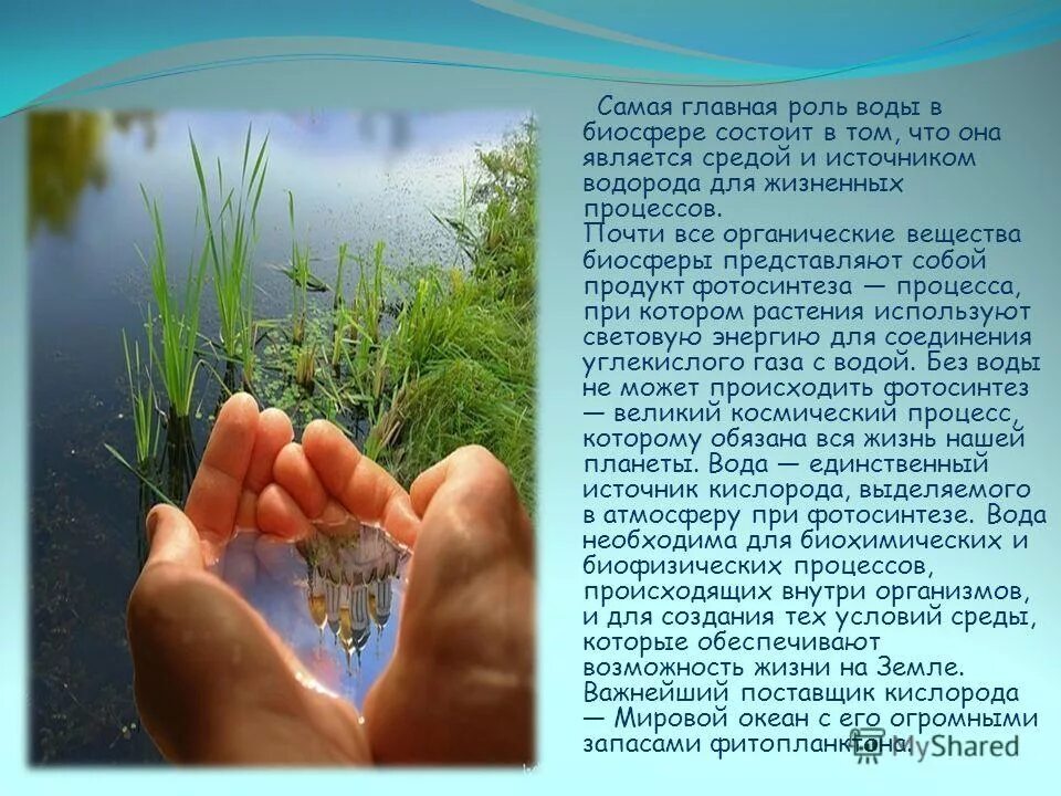 роль воды в жизни живых организмов. вода самая необходимая. вода самая необходимая. польза воды для человека. польза воды.