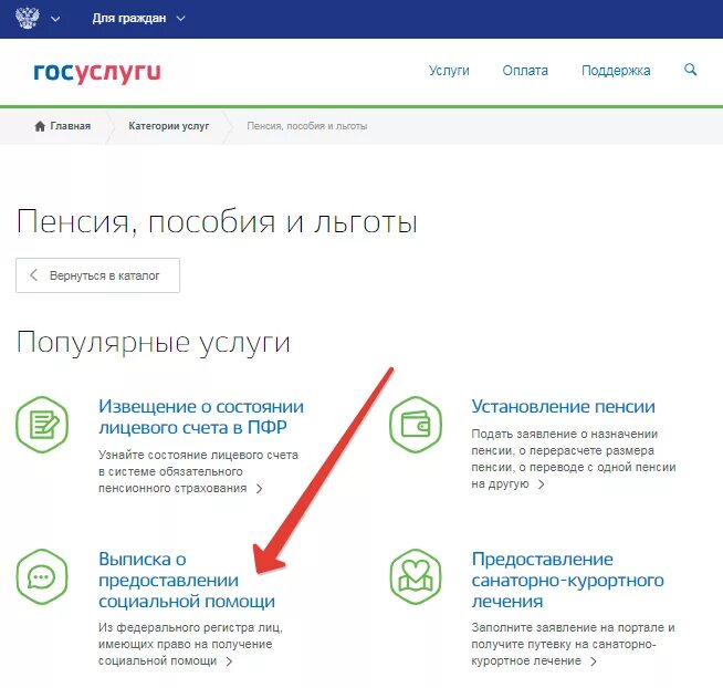 Госуслуги пенсионный счет. Выписка из пенсионного фонда через госуслуги. Выписка из госуслуг ПФР. Выписка с лицевого счета ПФР госуслуги. Выписка из лицевого счета ПФР через госуслуги.
