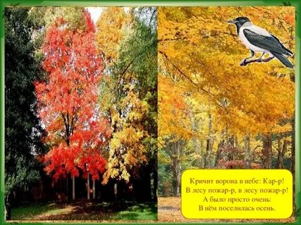 Кричит ворона в небе кар в лесу