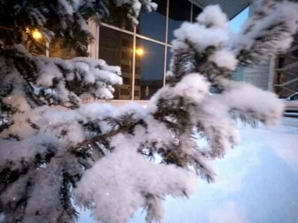 Зимний бердск