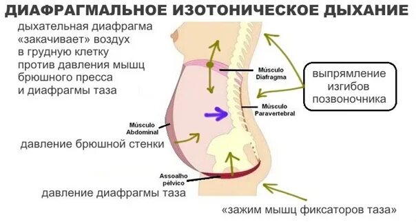 Диафрагма и давление