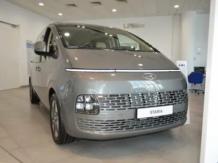 Стария 2022