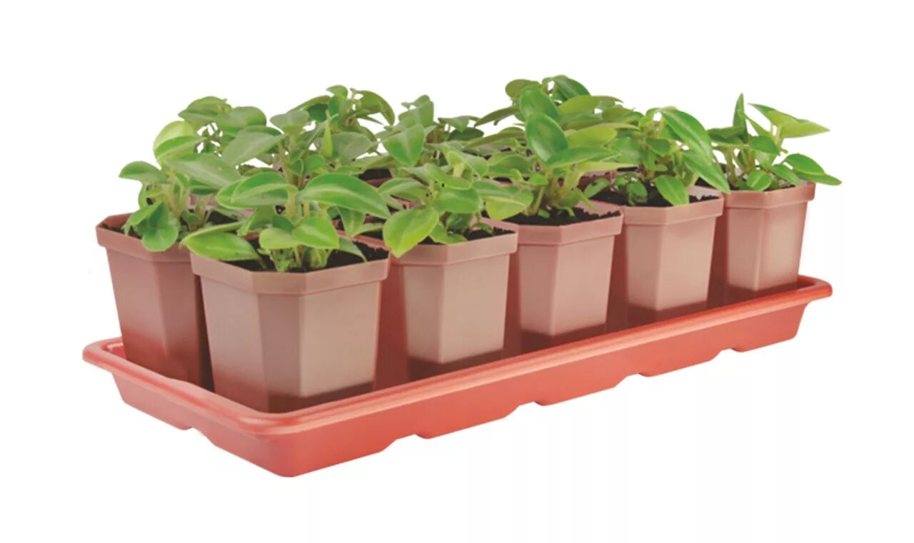 набор для рассады 10 горшочков по 300 мл на поддоне альтернатива. все для рассады. емкости для рассады. набор д/рассады с торфяными табл. набор для рассады helptime 20 горшков 70*70*80.