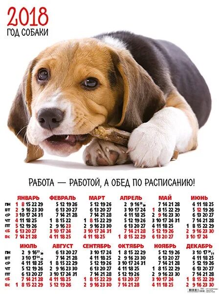 Год собаки когда. Год собаки 2018. Календарь год собаки. Год собаки какие года.