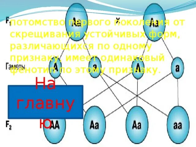 Сколько дает потомства. Генетика потомство. Генетика потомство болезней. Мемы по генетике потомство. Потомство к кому относится.