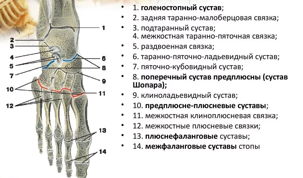 Как найти связку
