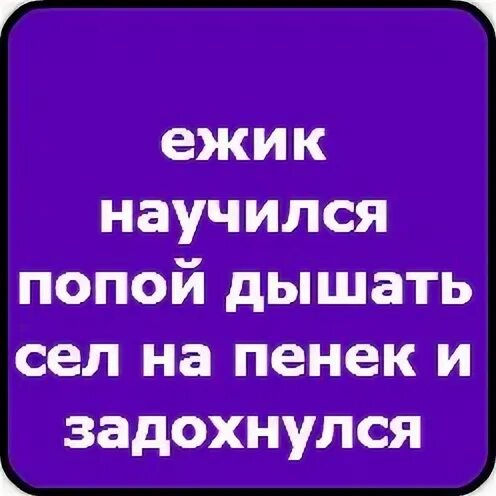 Ежик дышал попой сел на пенек и задохнулся. Анекдот Ежик научился дышать попой сел на пенек и задохнулся. Анекдот про Ёжика который задохнулся. Ежик научился дышать попой