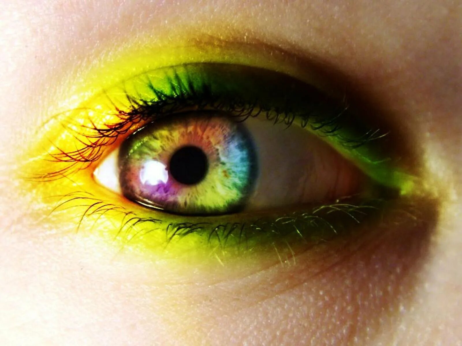 Глаза хамелеоны у человека. Желто зеленые глаза. Жёлто-зелёный цвет глаз. Красивые желтые глаза. Желтый цвет глаз.