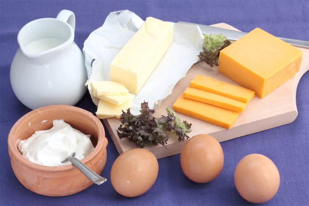 Белковая пища. Животные жиры в питании. Молочные продукты. Белки в пище. Животные жиры в питании.