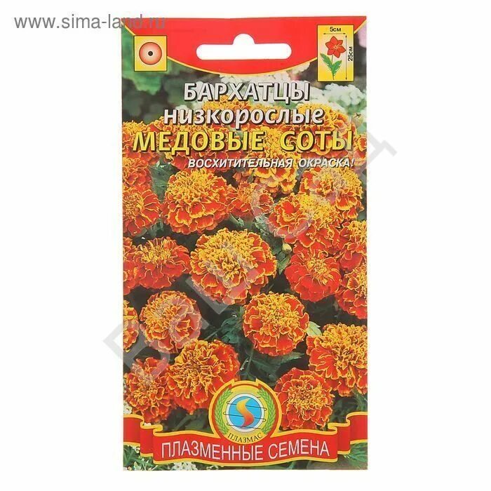 семена бархотки