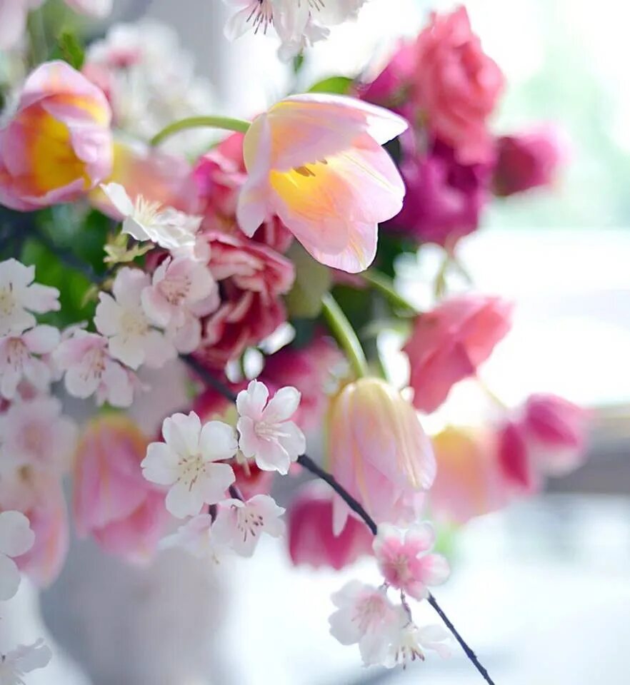 Нежные весенние цветы. Красивый весенний букет. Нежный букет. Цветок. Нежность. Хорошего настроения цветы весенние