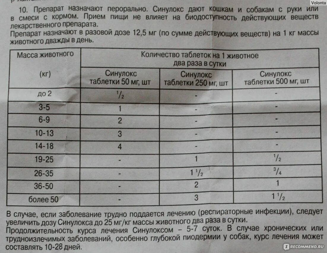 Синулокс дозировка. Синулокс 50 мг таблетки. Синулокс для кошек 250мг дозировка. Синулокс 50 мг для кошек дозировка. Синулокс 200.