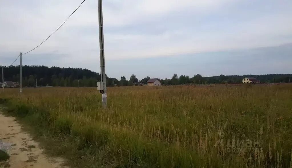 Погода аббакумово. Деревня аббакумово владимирская область. Погода аббакумово. Деревня чаща владимирская область. Аббакумово виладж.