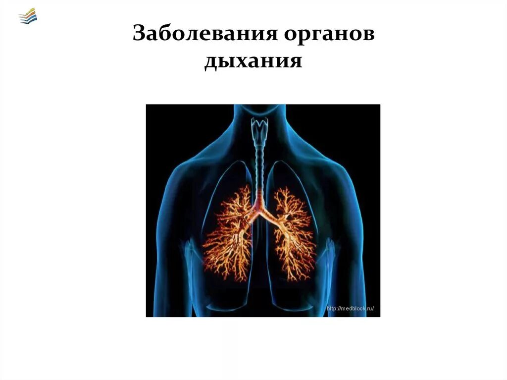 Забооеванияорганов дыхания. Заболевания дыхательных органов. Нарушение органов дыхания. Воспаление органов дыхания.