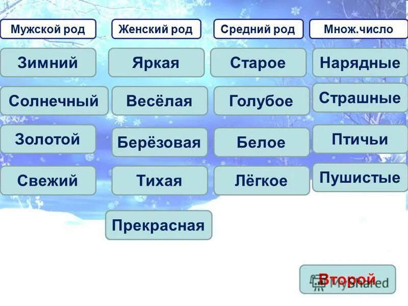 Книга мужской род