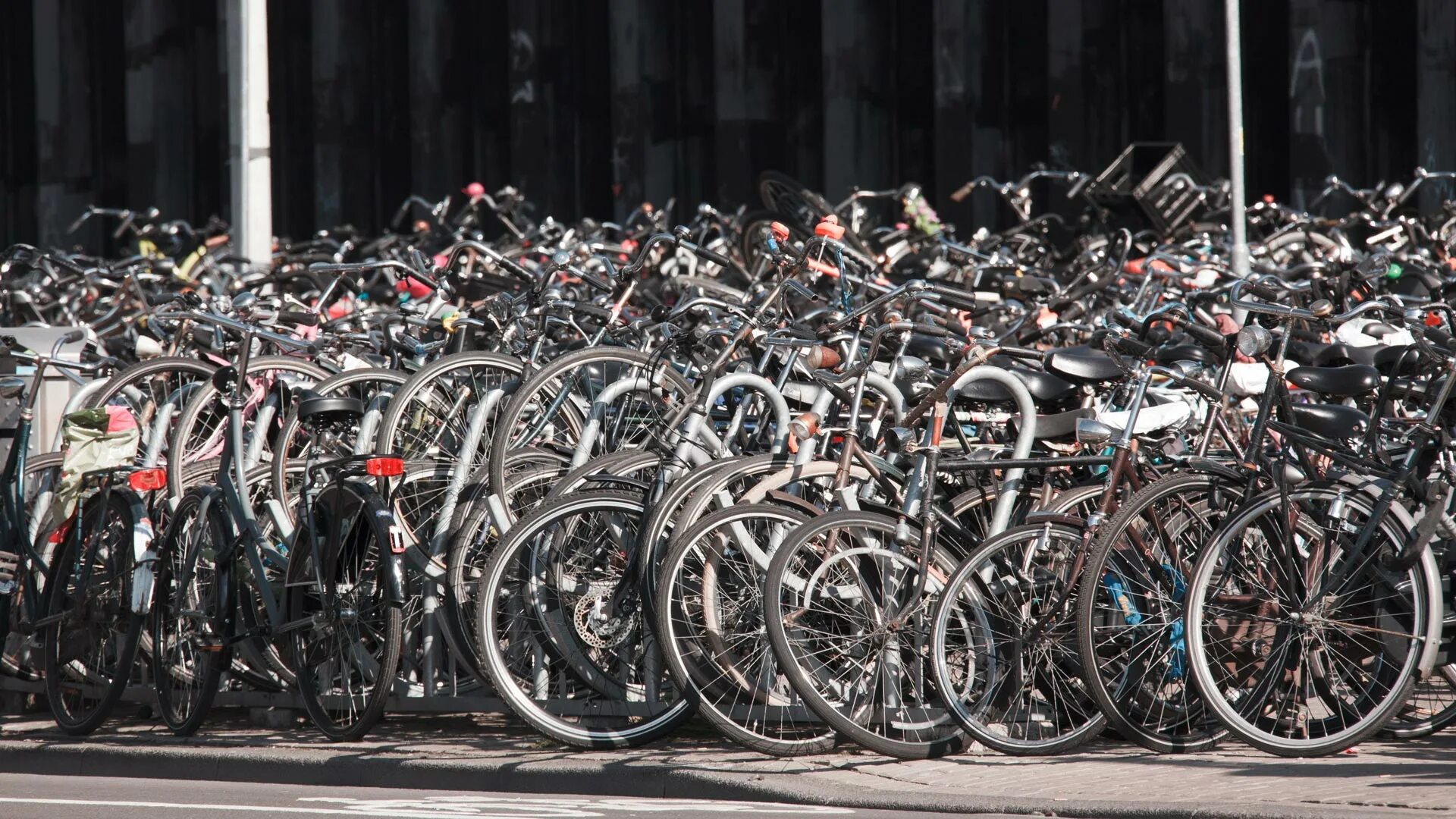 Шотландия Суданға 500 велосипед жібере алмады