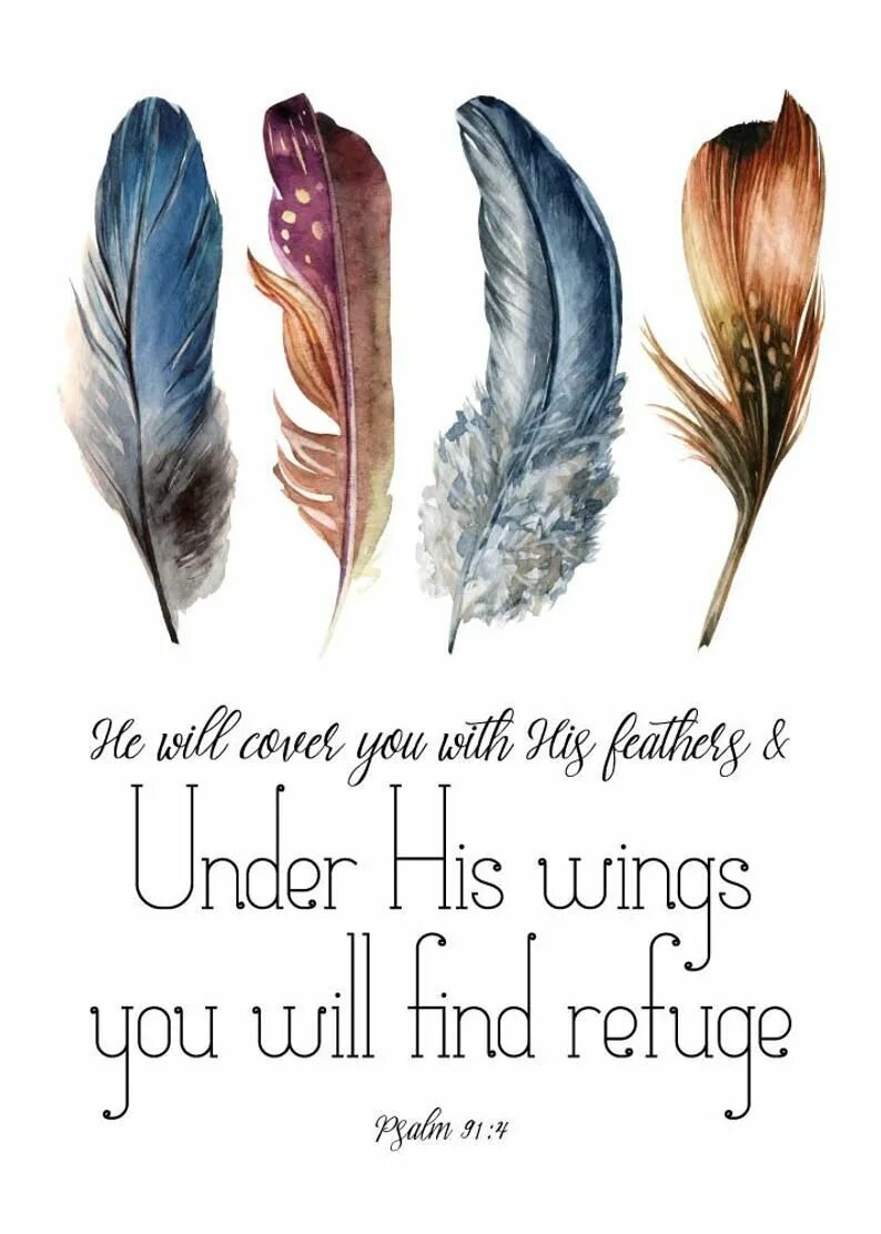 Feathering his own. He will Cover you with his Feathers and under his Wings you will find Refuge перевод на русский. He will Cover you with his Feathers and under his Wings you will find Refuge откуда эта фраза.