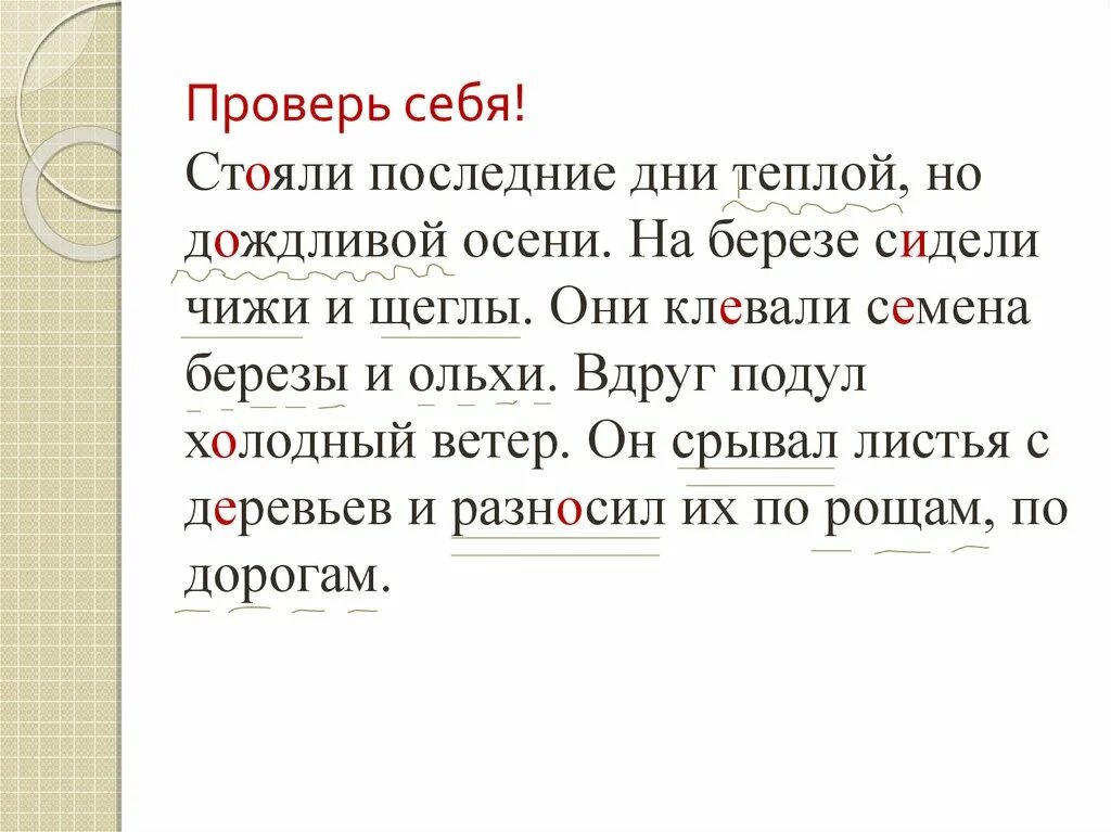 Стояли последние дни теплой но дождливой. Диктант осень Лесная дорога дует холодный. Стали последний теплый дождливой осени на Березе сидели и. Стояли последние дни июня