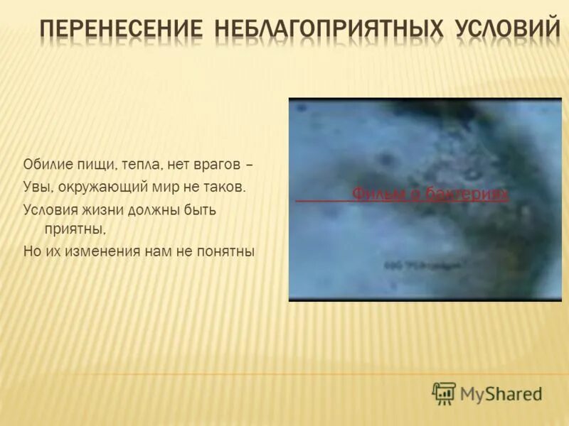 Перенесение неблагоприятных сезонных условий. Перенесение неблагоприятных сезонных условий