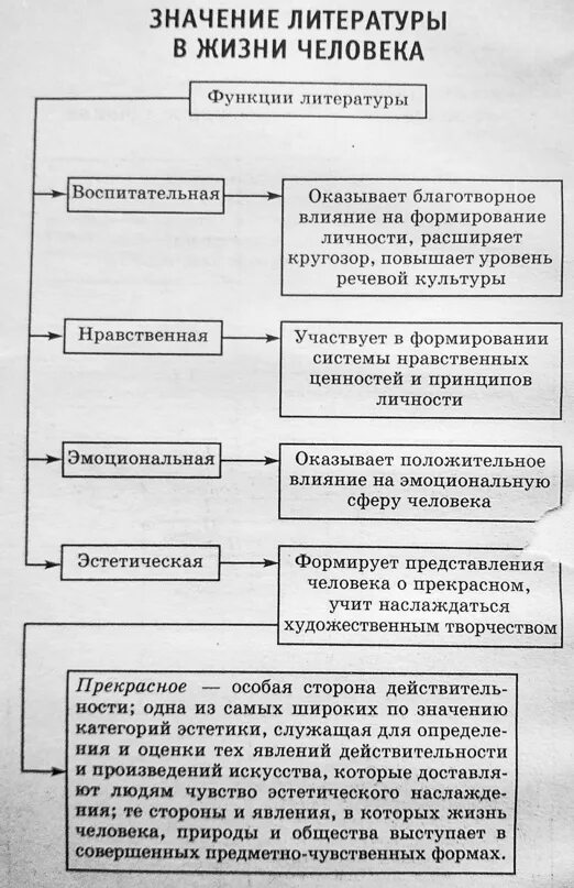 Значимы в литературе. Значение литературы. Значение литературы для человека. Значение литературы в жизни общества. Смысл литературы.