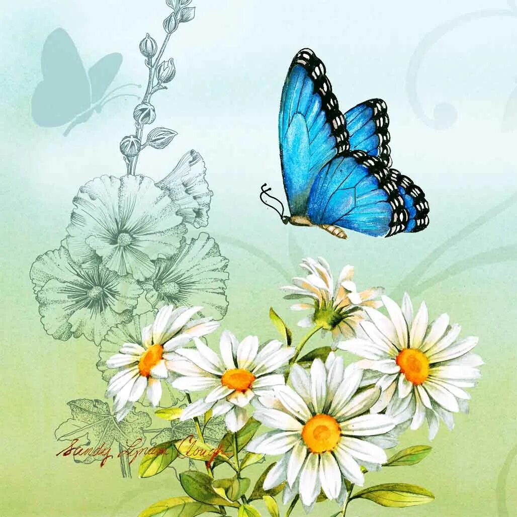 Бабочка на цветке. Бабочки в цветах. Бабочка на цветке рисунок. Бабочки над цветами. Красивые открытки бабочками