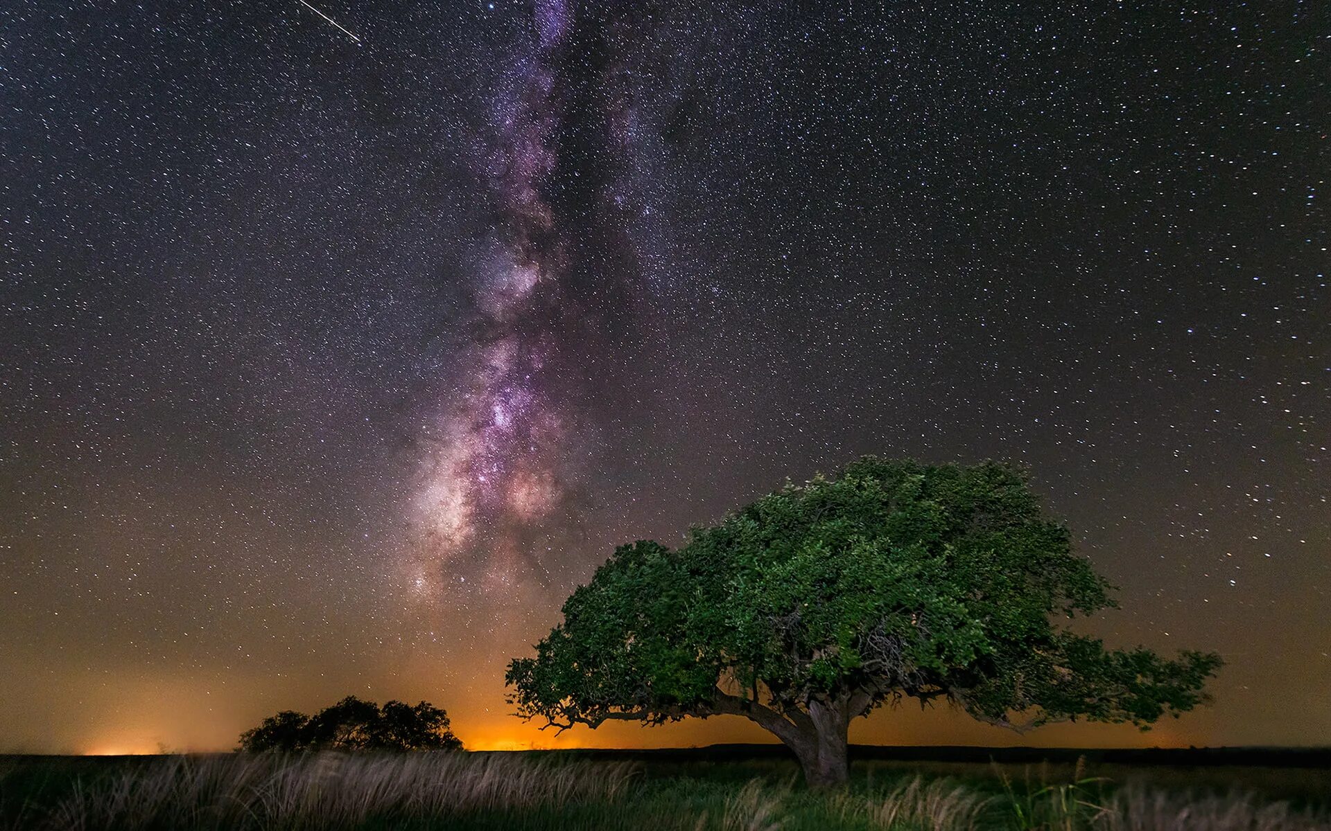 Космос Галактика Млечный путь. Звездное небо Млечный путь Галактика. Ночное звездное небо Млечный путь. Красивое ночное небо. Tree star