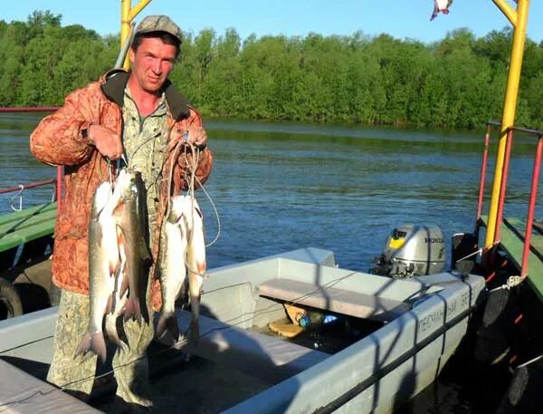 Рыбалка песчана. Рыбалка в вилино бахчисарайский район скифская деревня. Песчаный железногорск курская область рыбалка. Нижнее куйто рыбалка. Озеро хомутиное алтайский край.