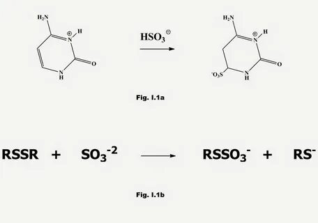 Hso3