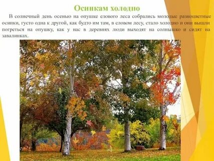 В солнечный день осенью на опушке
