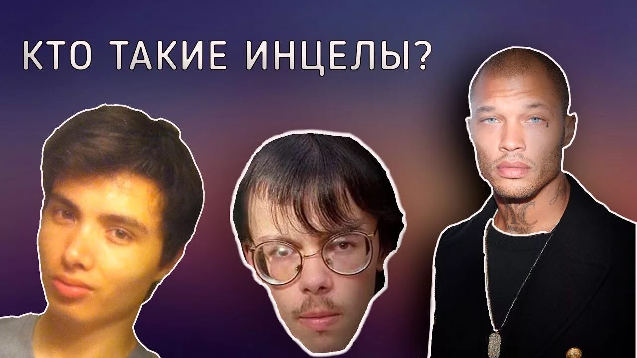 Инцел. Кто такие инцелы. Чед и инцел. Инцелы подбородок. Как девственники становятся