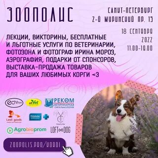 День корги какого числа