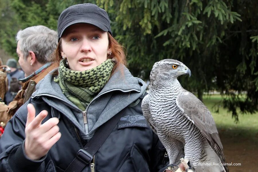 Двухголовый орел. А. Комаров алексей никанорович 1879 1977. Гордые орлы. А н орел имя.