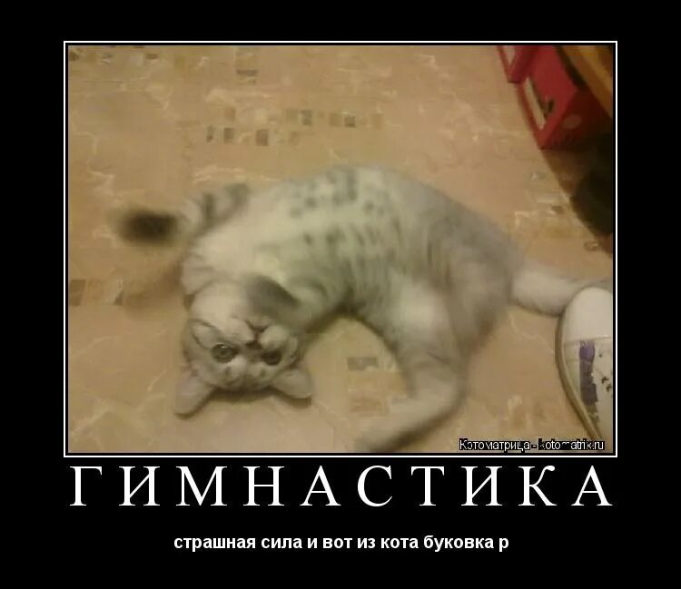 цитаты про прошлую любовь. красота страшная сила фото. она меня забыла забыла забыла любовь во мне убила. демотиваторы до слез. игорь улащук.