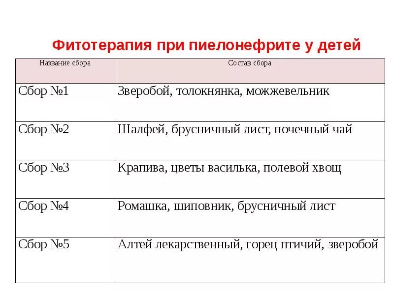 Фитотерапия пиелонефрита. Фитотерапия при пиелонефрите у детей. Пиелонефрит фитотерапия памятка. Фитотерапия для детей с пиелонефритом.