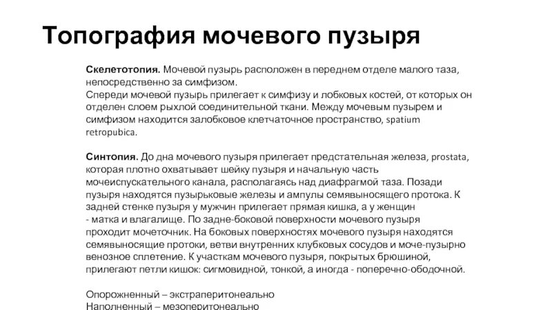 Застудил мочевой пузырь у мужчин. Задняя поверхность мочевого пузыря у женщин прилежит к. Топография мочевого пузыря скелетотопия. Мочевой пузырь топография строение. Топография мочевого пузыря у женщин и мужчин.