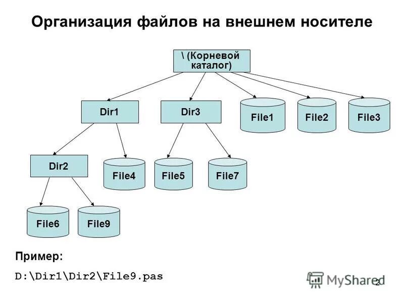 Корневой каталог находится