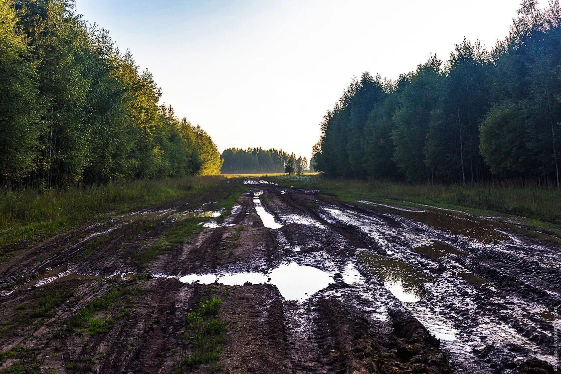 Грязные дороги песня. Грязная дорога. Лужа на дороге. Грязные дороги в лесу. Лужа на Лесной дороге.