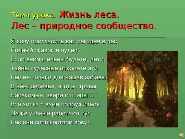 Почему лес природное сообщество. Сообщение на тему сообщество леса. Рассказ о лесе. Проект на тему лес. Рассказ про леса.