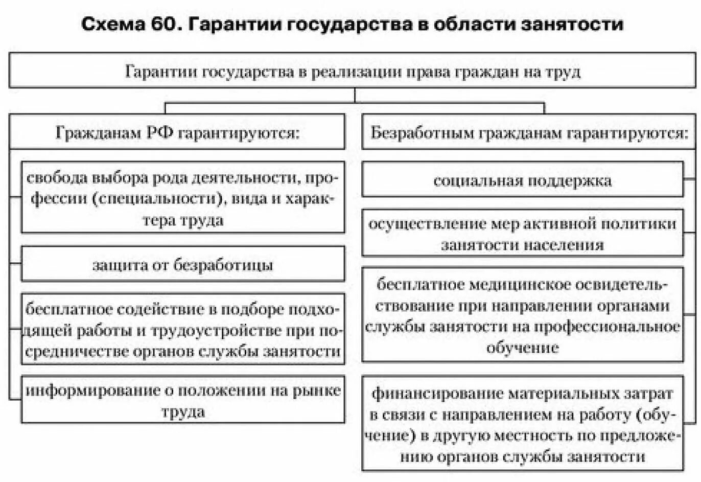 Социальные гарантии гражданам рф. Гарантии государства в области занятости населения. Гарантии государства в области занятости схемы.