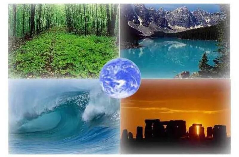 Природный источник воздуха. Земля наш дом. Защита окружающей среды. Природная среда. Экология картинки.