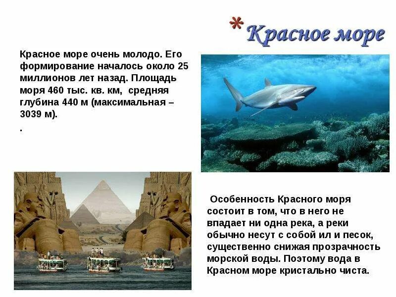 Максимальная глубина красного. Описание красного моря. Красное море рассказ. Красное море доклад. Глубина красного моря максимальная.