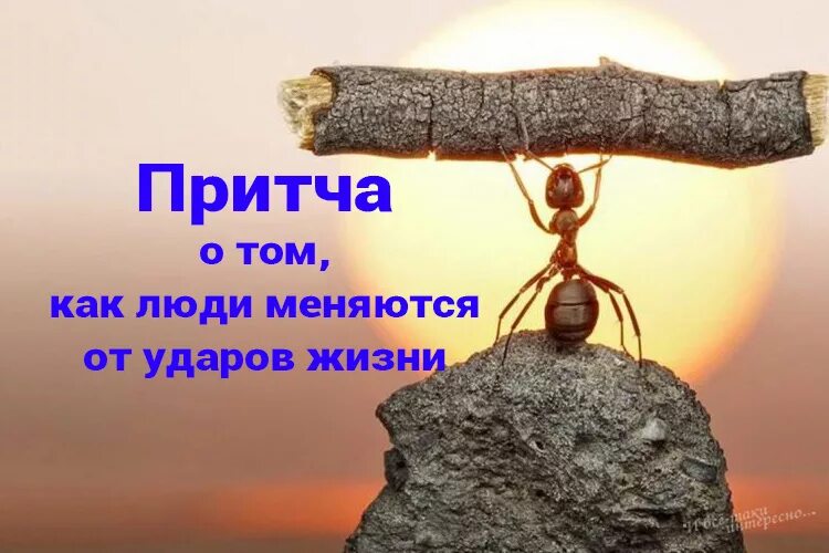 Большая притча. Притчи со смыслом. мудрые притчи. красивая притча о жизни. притча о жизни человека.