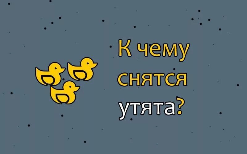 К чему снятся утки. К чему снятся утята. К чему снятся утята маленькие. Во сне видеть утят.