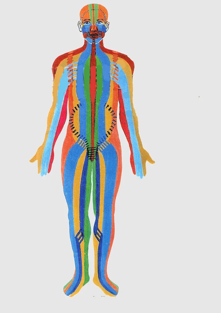 Каналы китайской медицины. Энергетические меридианы человека китайская медицина. Энергетические каналы и меридианы человека схема и направления. Энергетические меридианы тела человека схема. Энергетические каналы в теле человека китайская медицина.