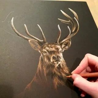 Нарисовать оленя на стекле