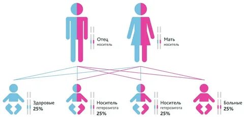 7 гена smn1 в гомозиготном состоянии